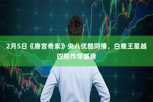 2月5日《唐宫奇案》央八优酷同播，白鹿王星越四搭炸穿盛唐