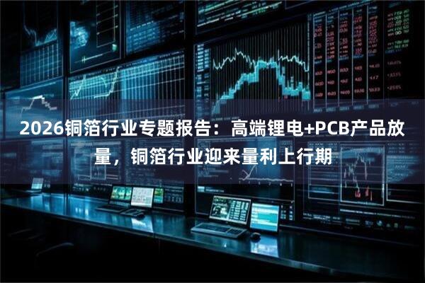 2026铜箔行业专题报告：高端锂电+PCB产品放量，铜箔行业迎来量利上行期